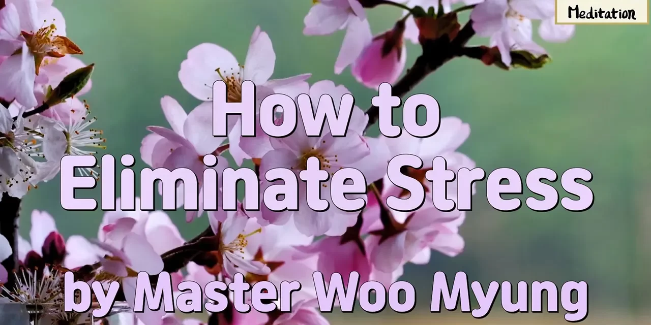 🧘‍♂️ How to Eliminate Stress | Master Woo Myung | Santa Clara Meditation