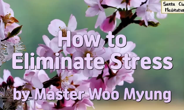 🧘‍♂️ How to Eliminate Stress | Master Woo Myung | Santa Clara Meditation