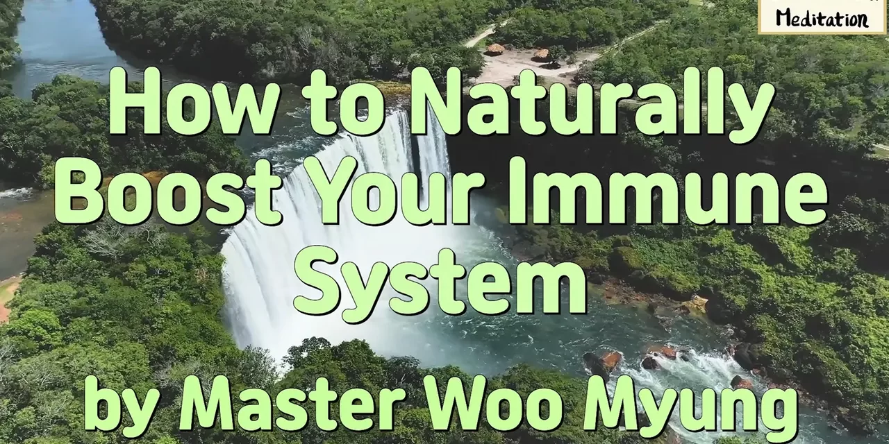 🌿 How to Naturally Boost Your Immune System – Master Woo Myung | Santa Clara Meditation