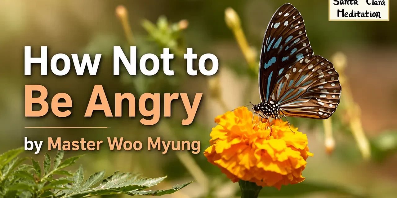 🔥 How Not to Be Angry: Let Go of the Source of Anger | Master Woo Myung | Santa Clara Meditation