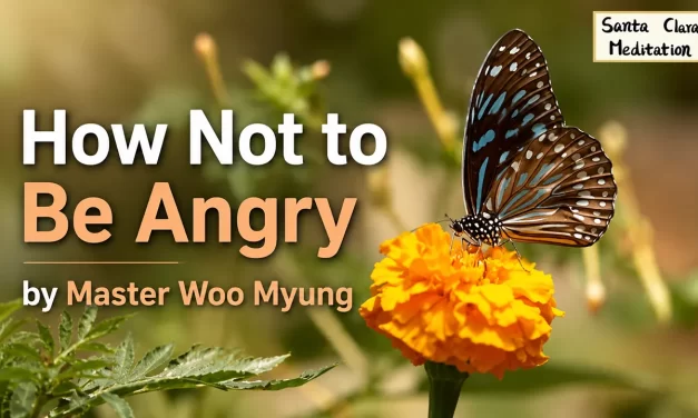 🔥 How Not to Be Angry: Let Go of the Source of Anger | Master Woo Myung | Santa Clara Meditation
