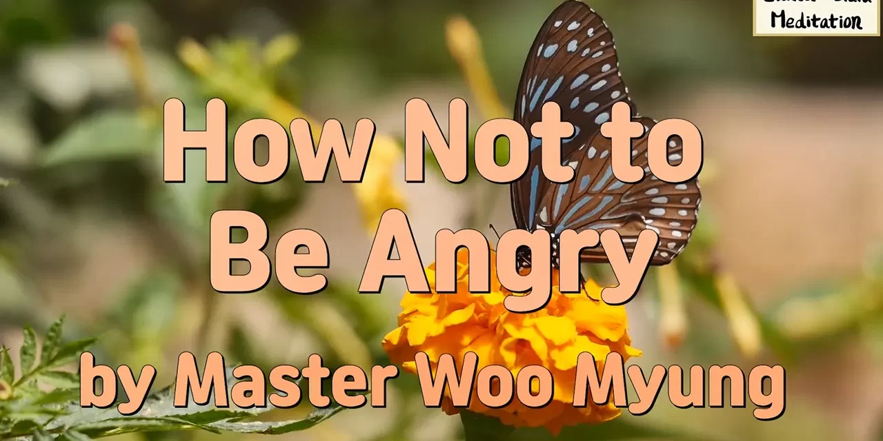 🔥 How Not to Be Angry: Let Go of the Source of Anger | Master Woo Myung | Santa Clara Meditation
