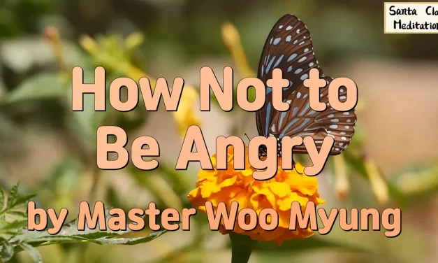 🔥 How Not to Be Angry: Let Go of the Source of Anger | Master Woo Myung | Santa Clara Meditation