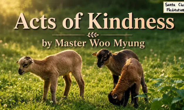 💞 Acts of Kindness: What True Goodness Really Means | Master Woo Myung | Santa Clara Meditation