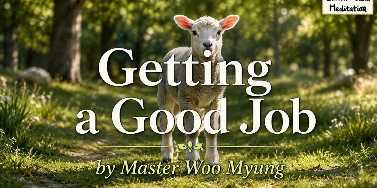 💼 Getting a Good Job through Dedication and Character – Master Woo Myung | Santa Clara Meditation
