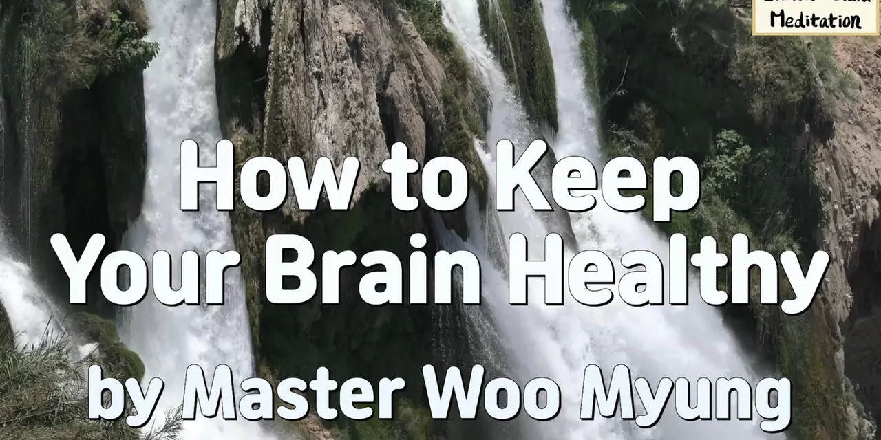 🧩 How to Keep Your Brain Healthy: Clear Stress, Restore Flow | Master Woo Myung | Santa Clara Meditation