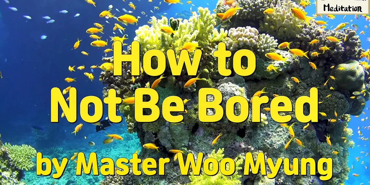 🌀 How to Not Be Bored: Eliminate the Cause of Emptiness | Master Woo Myung | Santa Clara Meditation