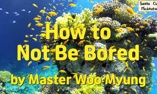 🌀 How to Not Be Bored: Eliminate the Cause of Emptiness | Master Woo Myung | Santa Clara Meditation
