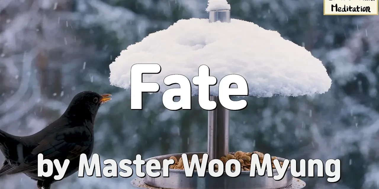 🎥 Fate: How to Escape the Movie of Your Life | Master Woo Myung | Santa Clara Meditation