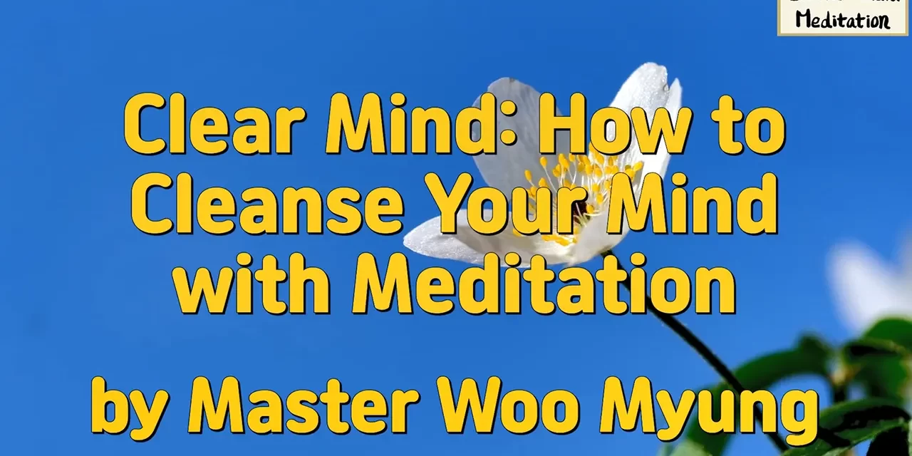 🌼 Clear Mind: How to Cleanse Your Mind with Meditation – Master Woo Myung | Santa Clara Meditation