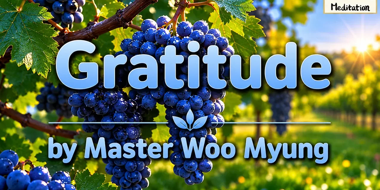 🌼 Gratitude: Transforming the Mind for True Happiness | Master Woo Myung | Santa Clara Meditation