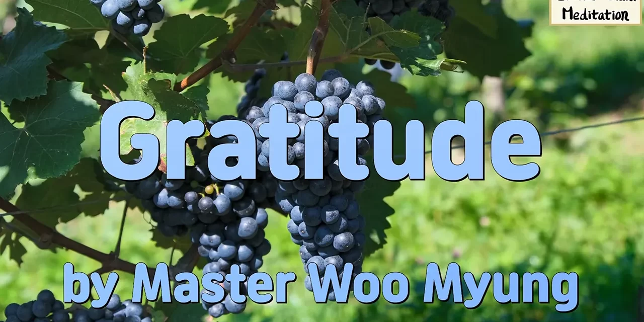 🌼 Gratitude: Transforming the Mind for True Happiness | Master Woo Myung | Santa Clara Meditation