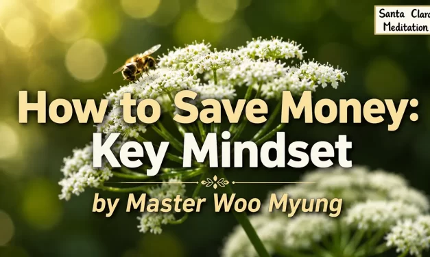 💰 How to Save Money: Key Mindset | Master Woo Myung | Santa Clara Meditation
