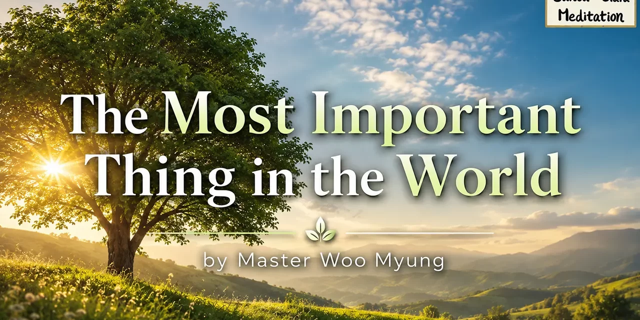 🌅 The Most Important Thing in the World – Master Woo Myung | Santa Clara Meditation