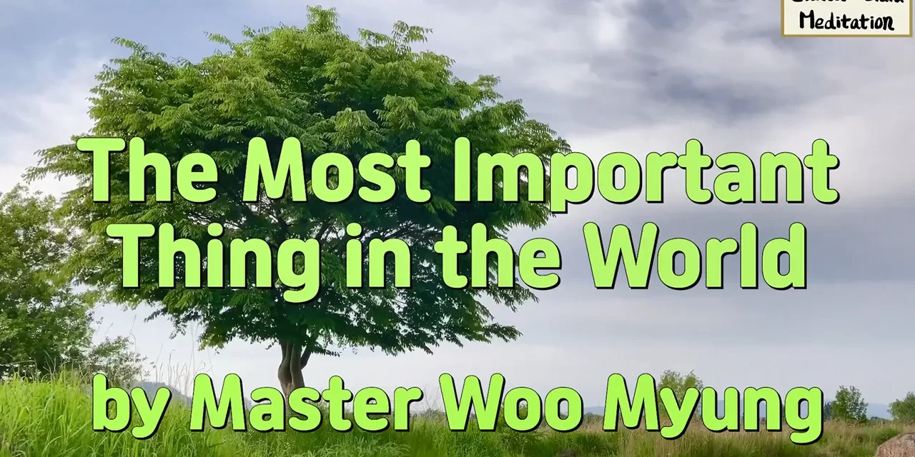 🌅 The Most Important Thing in the World – Master Woo Myung | Santa Clara Meditation