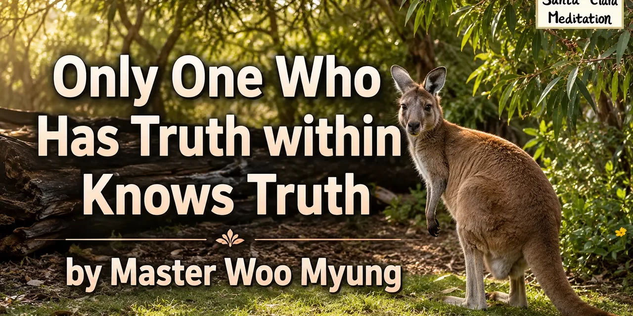 🔍 Only One Who Has Truth within Knows Truth | Master Woo Myung | Santa Clara Meditation