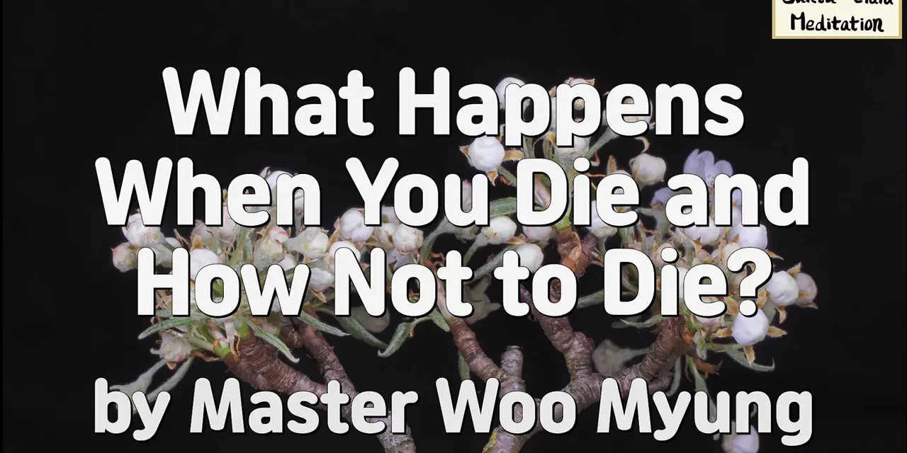 🌌 What Happens When You Die: And How Not to Die | Master Woo Myung | Santa Clara Meditation