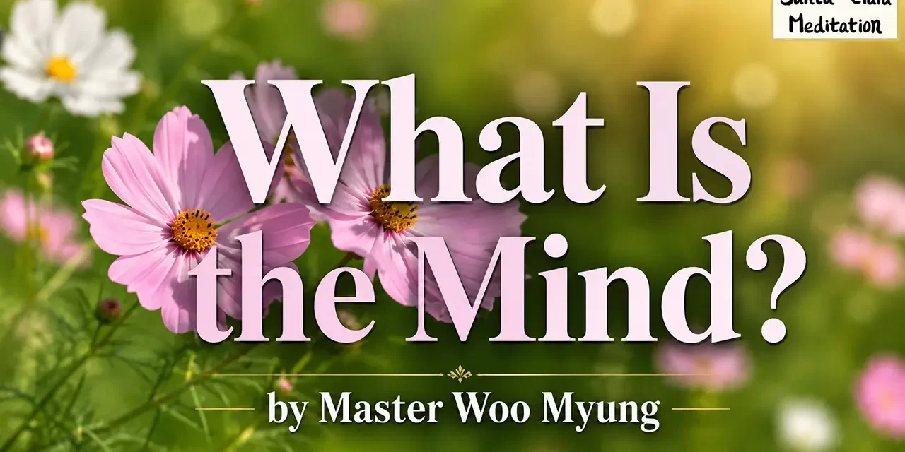 π What Is the Mind?: From False Pictures to the True Mind | Master Woo Myung | Santa Clara Meditation