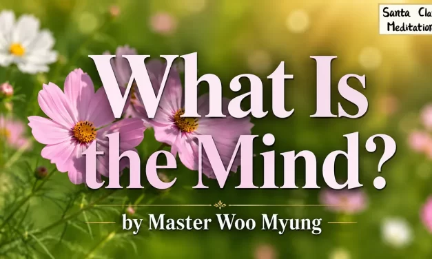 🌟 What Is the Mind?: From False Pictures to the True Mind | Master Woo Myung | Santa Clara Meditation