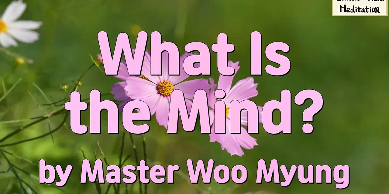🌟 What Is the Mind?: From False Pictures to the True Mind | Master Woo Myung | Santa Clara Meditation