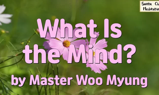 🌟 What Is the Mind?: From False Pictures to the True Mind | Master Woo Myung | Santa Clara Meditation