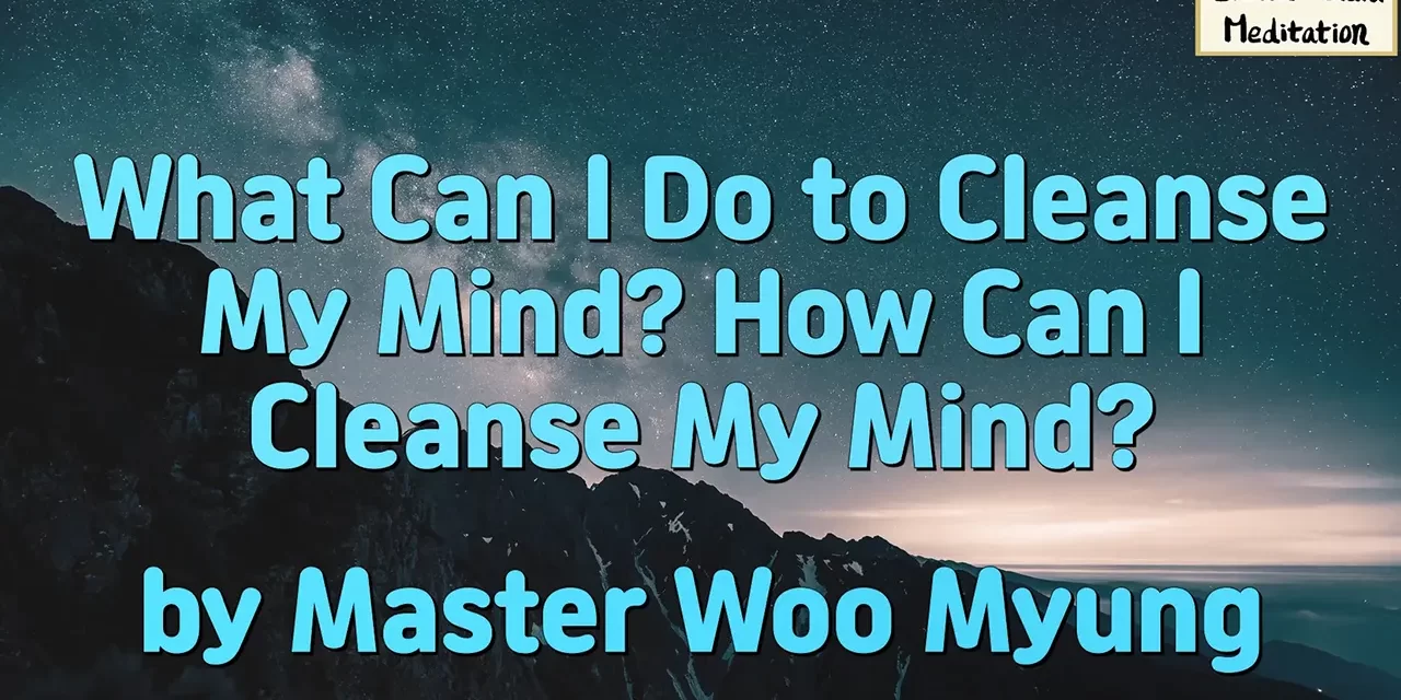 🧘‍♂️ What Can I Do to Cleanse My Mind? How Can I Cleanse My Mind? | Master Woo Myung | Santa Clara Meditation