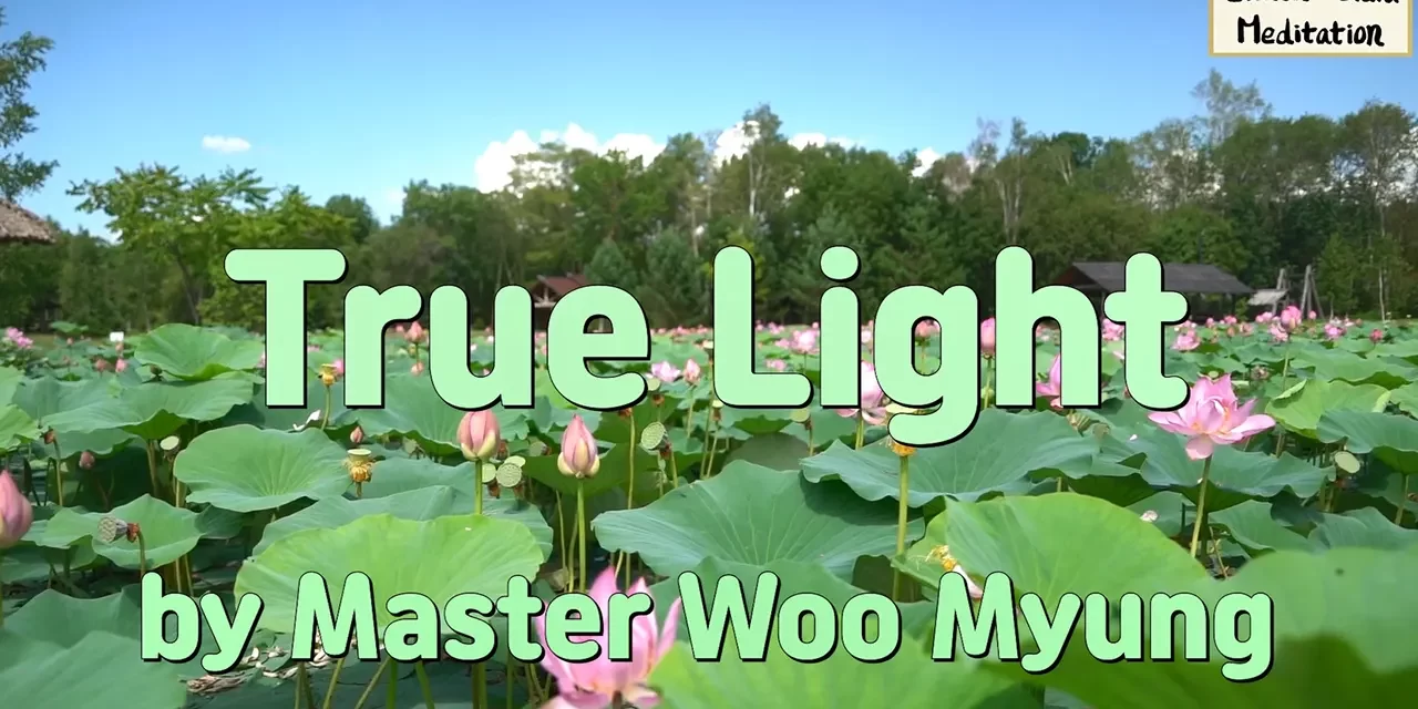 ✨ True Light – See with the Eyes of Truth | Master Woo Myung | Santa Clara Meditation