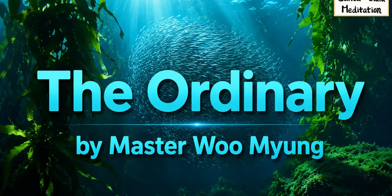 🍃✨ The Ordinary – From Mind by Master Woo Myung | Santa Clara Meditation