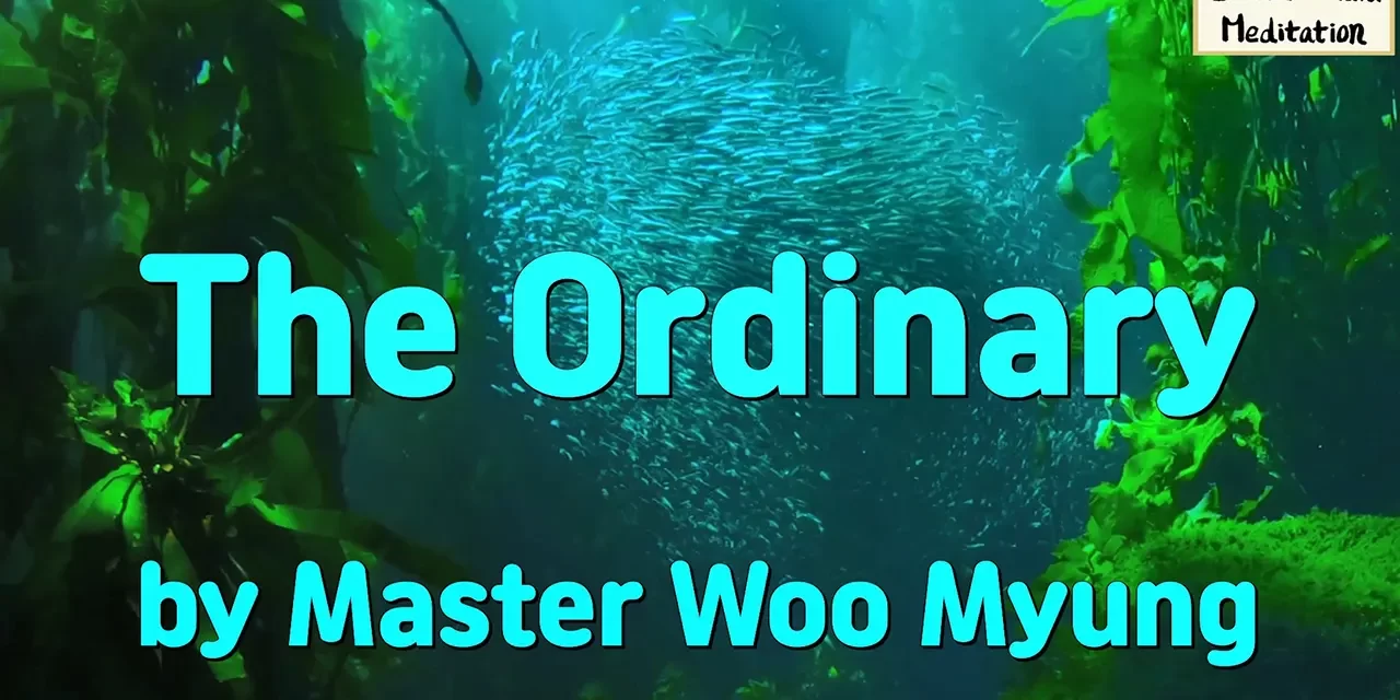 🍃✨ The Ordinary – From Mind by Master Woo Myung | Santa Clara Meditation