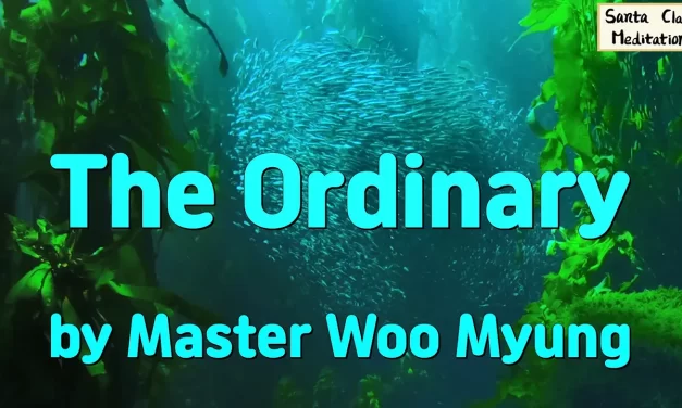 🍃✨ The Ordinary – From Mind by Master Woo Myung | Santa Clara Meditation