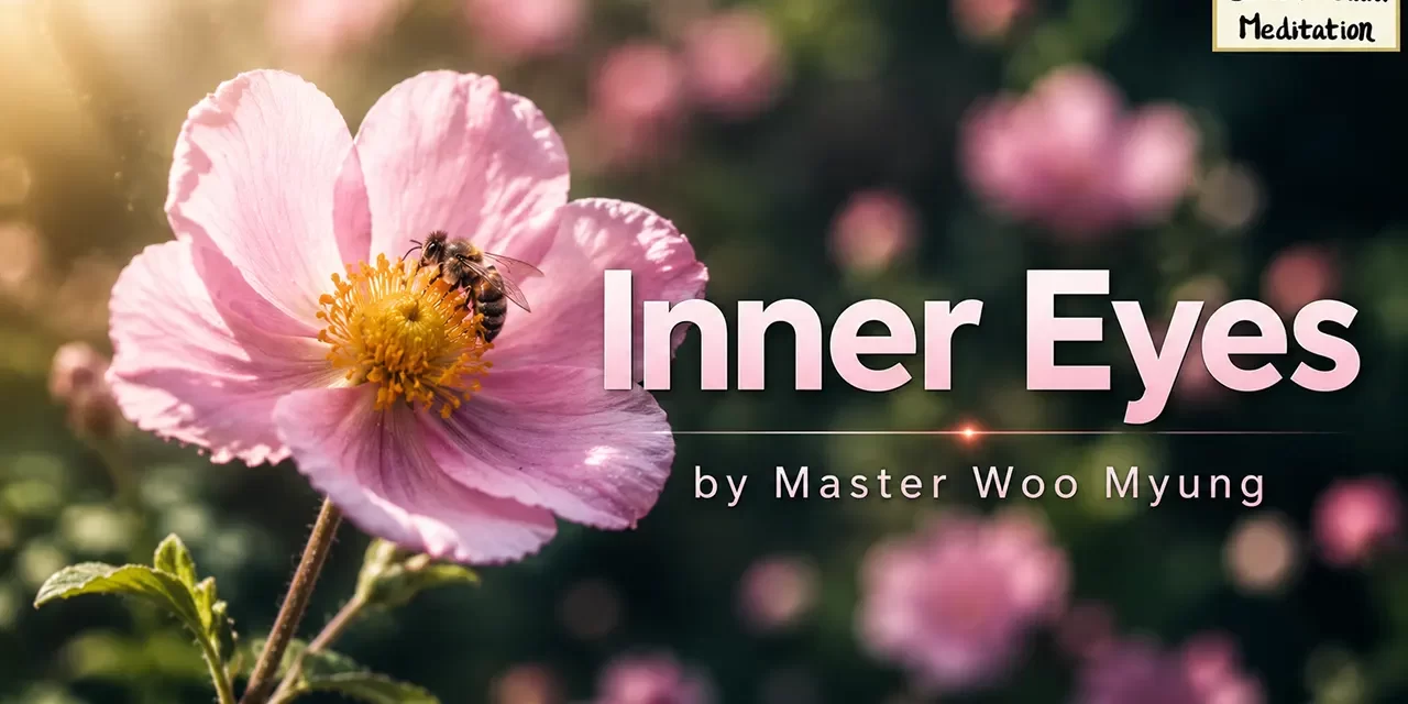 π Inner Eyes: Wisdom Poem about Truth and Karma | Master Woo Myung | Santa Clara Meditation