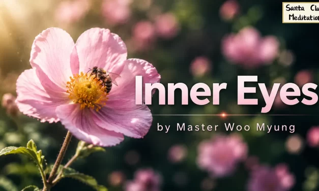 🔆 Inner Eyes: Wisdom Poem about Truth and Karma | Master Woo Myung | Santa Clara Meditation
