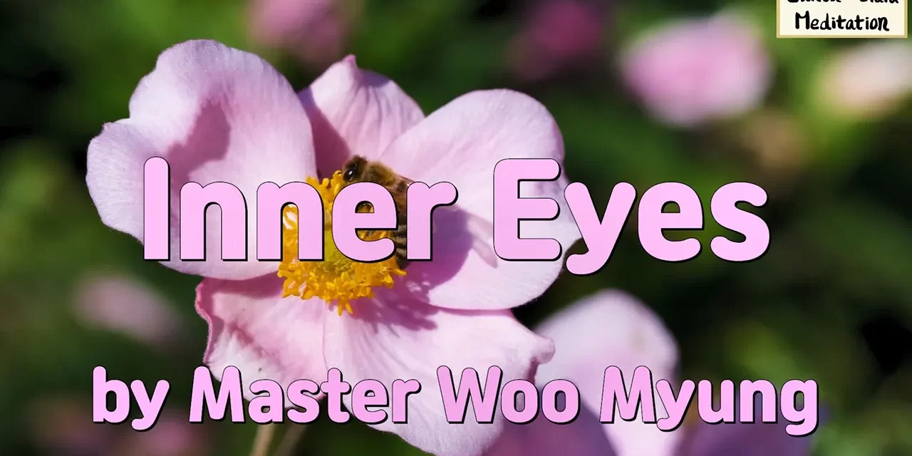 🔆 Inner Eyes: Wisdom Poem about Truth and Karma | Master Woo Myung | Santa Clara Meditation