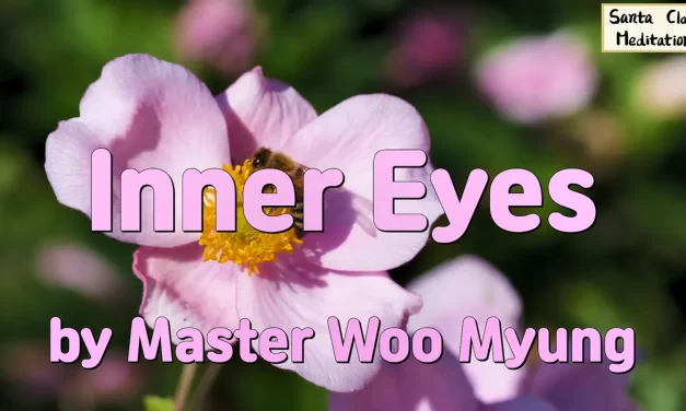 🔆 Inner Eyes: Wisdom Poem about Truth and Karma | Master Woo Myung | Santa Clara Meditation