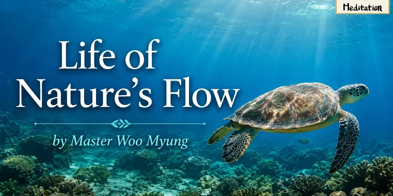 🌿 Life of Nature’s Flow: Let Go of Kleshas, Live as You Are | Master Woo Myung | Santa Clara Meditation