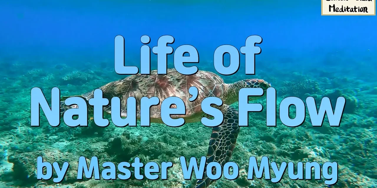 🌿 Life of Nature’s Flow: Let Go of Kleshas, Live as You Are | Master Woo Myung | Santa Clara Meditation