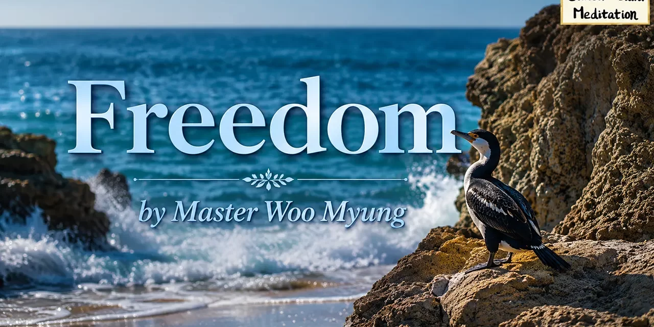 🕊️ Freedom: What Is Ultimate Freedom? | Master Woo Myung | Santa Clara Meditation