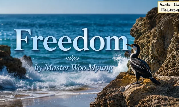 🕊️ Freedom: What Is Ultimate Freedom? | Master Woo Myung | Santa Clara Meditation