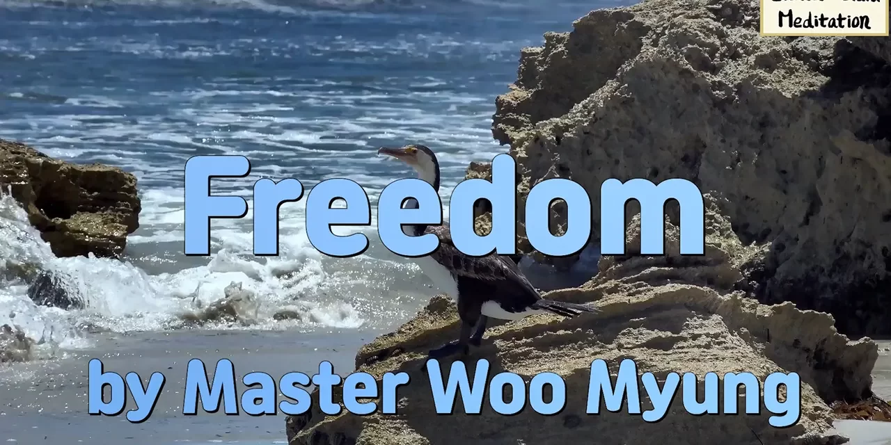 🕊️ Freedom: What Is Ultimate Freedom? | Master Woo Myung | Santa Clara Meditation