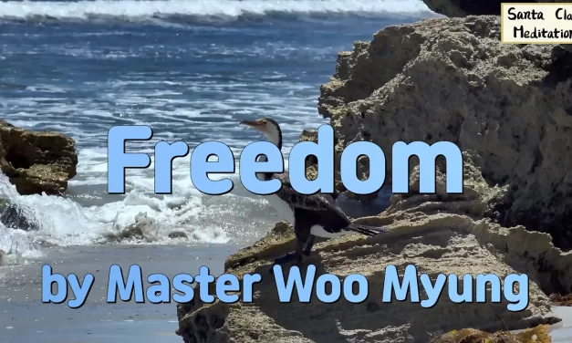 🕊️ Freedom: What Is Ultimate Freedom? | Master Woo Myung | Santa Clara Meditation