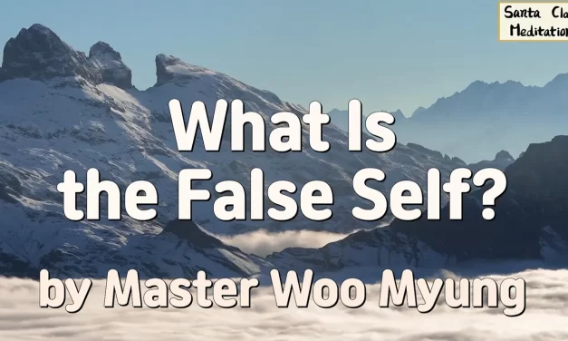 🪞 What Is the False Self? | Master Woo Myung | Santa Clara Meditation