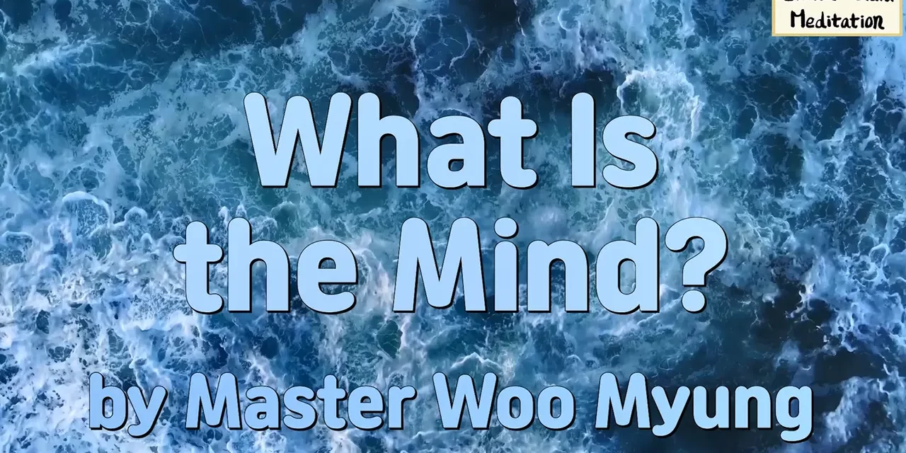 🧘 What Is the Mind? | Master Woo Myung | Santa Clara Meditation