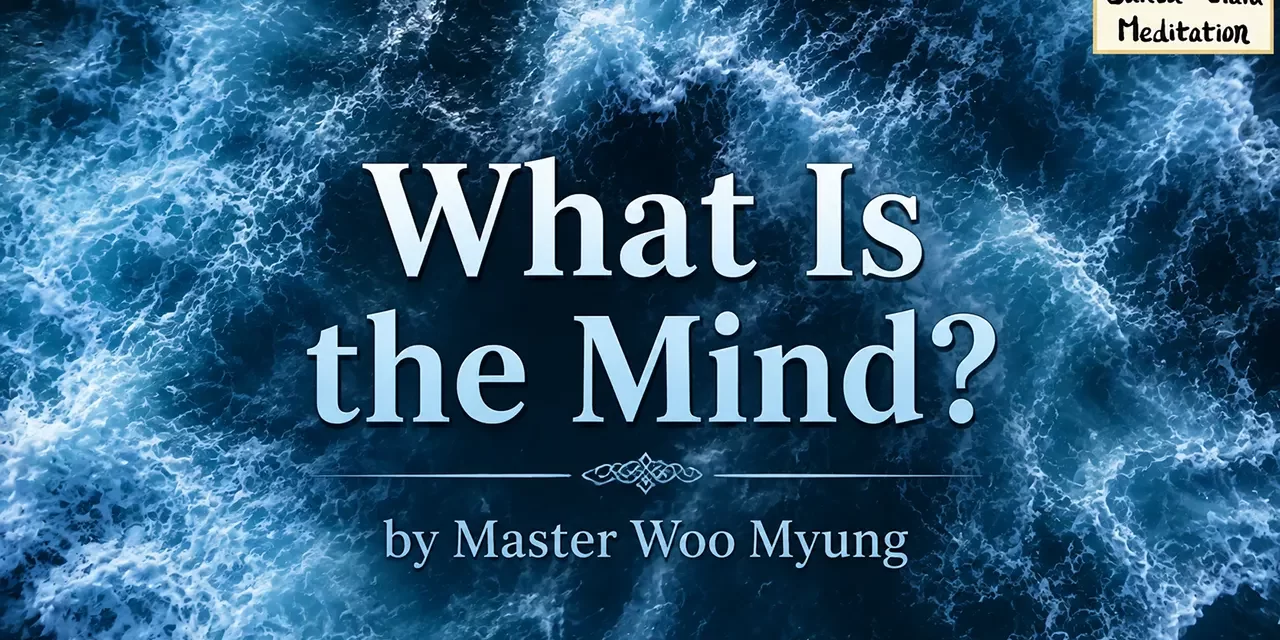 🧘 What Is the Mind? | Master Woo Myung | Santa Clara Meditation