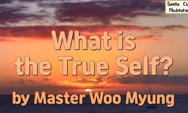 🌟 What Is the True Self? | Master Woo Myung | Santa Clara Meditation