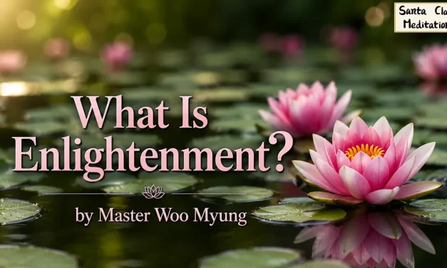 💡 What Is Enlightenment? | Master Woo Myung | Santa Clara Meditation