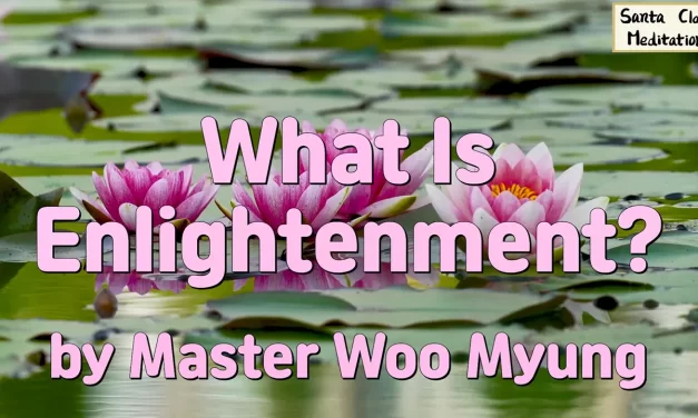 💡 What Is Enlightenment? | Master Woo Myung | Santa Clara Meditation