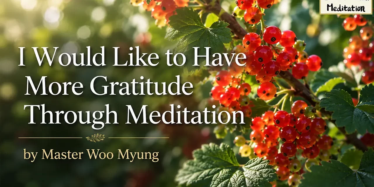 🌼 How to Have More Gratitude Through Meditation – Master Woo Myung | Santa Clara Meditation