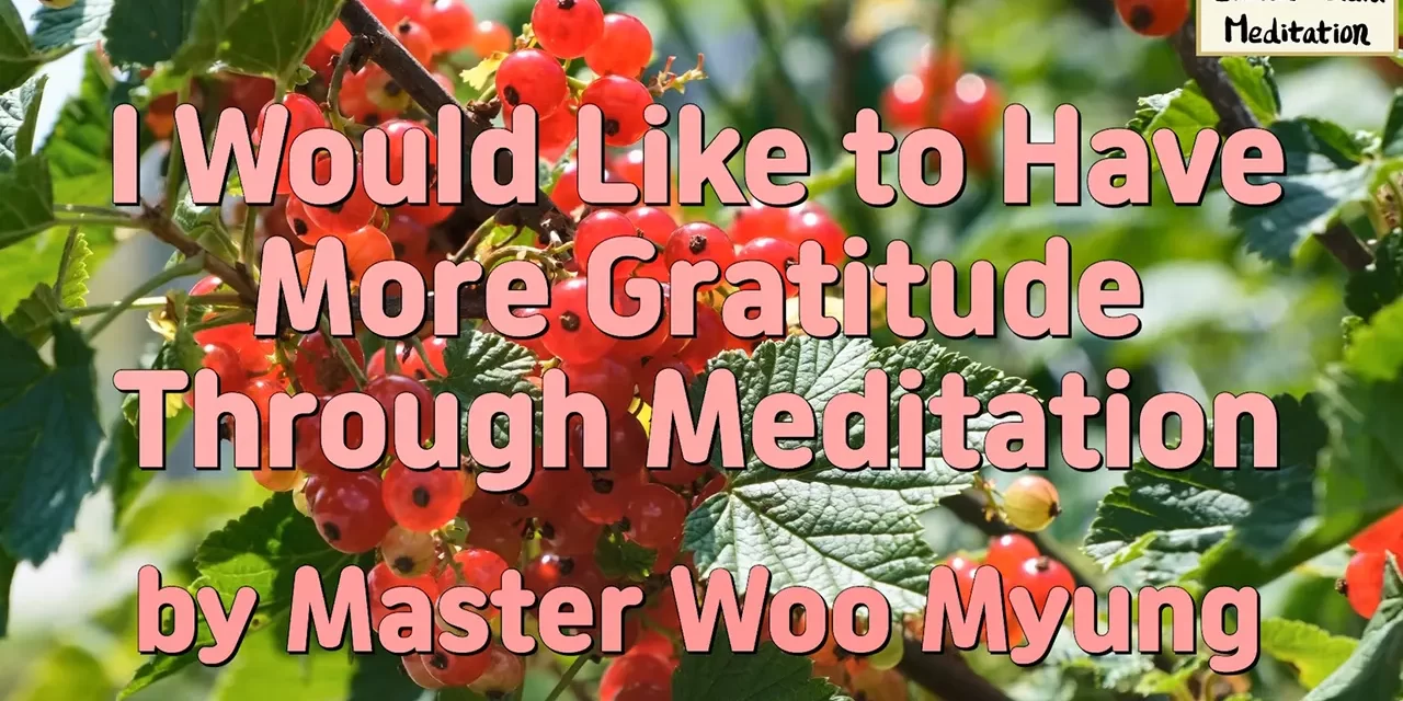 🌼 How to Have More Gratitude Through Meditation – Master Woo Myung | Santa Clara Meditation