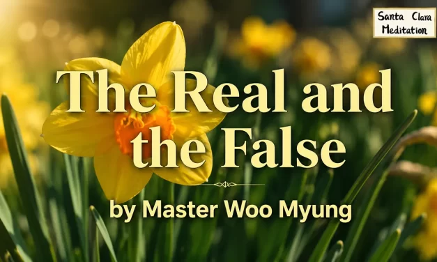 ✨ The Real and the False: Who Can Enter the Kingdom of Truth – Master Woo Myung | Santa Clara Meditation