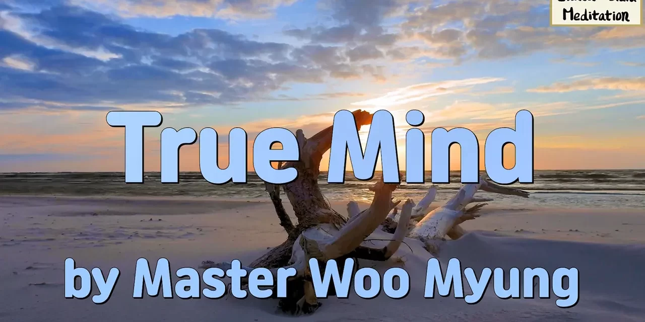 ✨ True Mind: the Universe Before the Universe | Master Woo Myung | Santa Clara Meditation